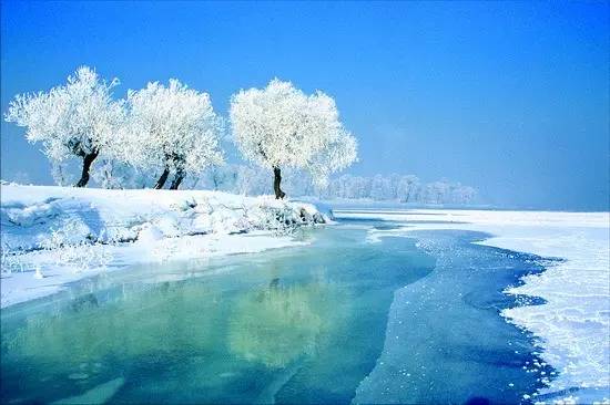 尔滨的雪实在是太美了,哈尔滨的雪景美得让人陶醉