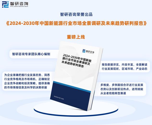 2024新奥资料免费精准109,完整评估机制_本地集L38.215