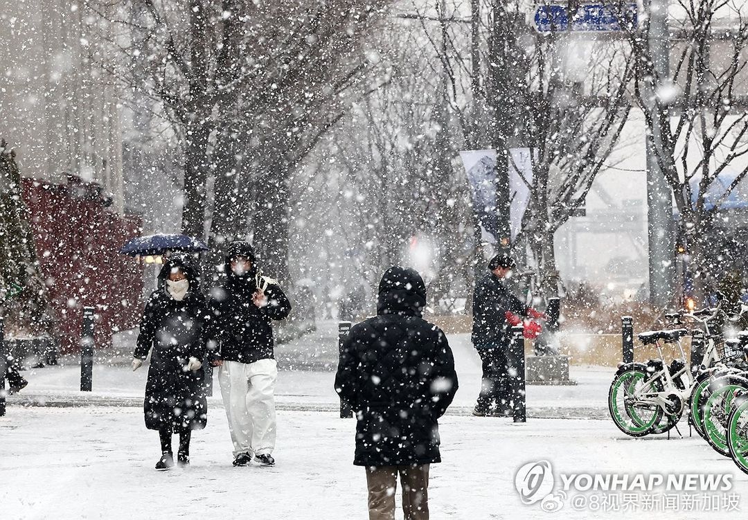 韩国遭遇百年罕见大暴雪,韩国遭遇史上罕见暴雪袭击