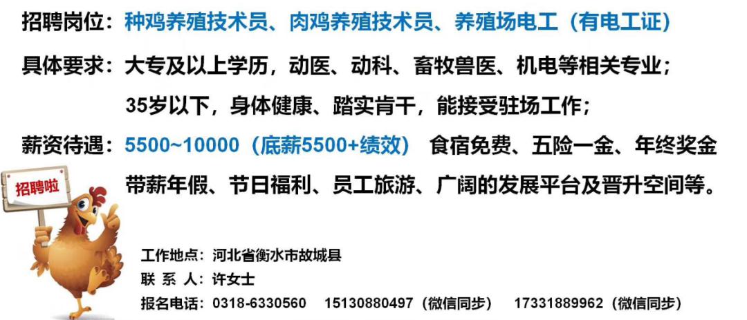 畜牧人才网最新招聘,畜牧领域精英汇聚，人才网招聘信息火热更新。