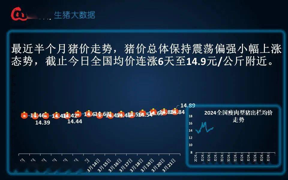 最新猪价新闻,猪价动态速览：最新市场行情一览无遗。