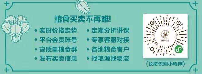 玉米最新的国家标准,玉米国标修订版引行业热议