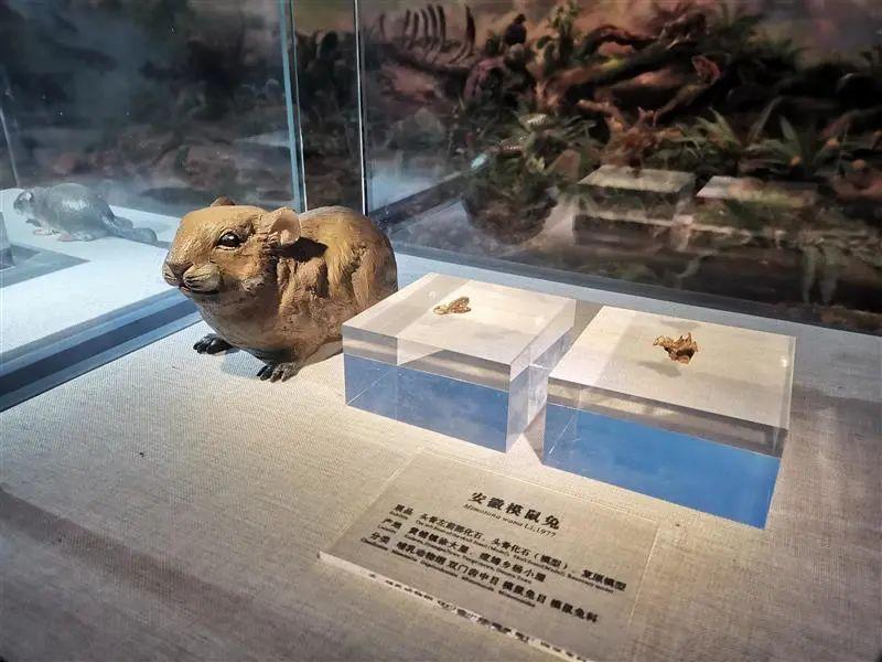 揭秘潜山最新房价走势：2023年房地产市场的真实现状与未来展望