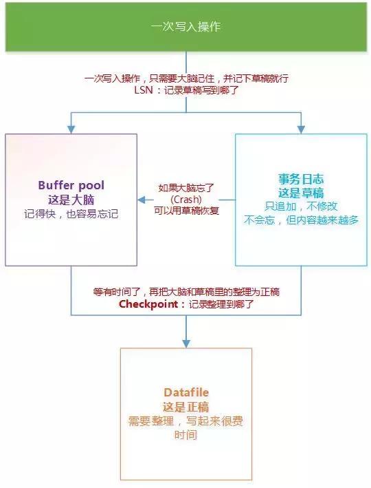 黄大仙一码中持肖,深入分析数据应用_纯净版E70.449