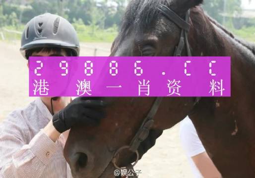 澳门必中一一肖一码服务内容｜快速计划执行解答｜体育版M56.386